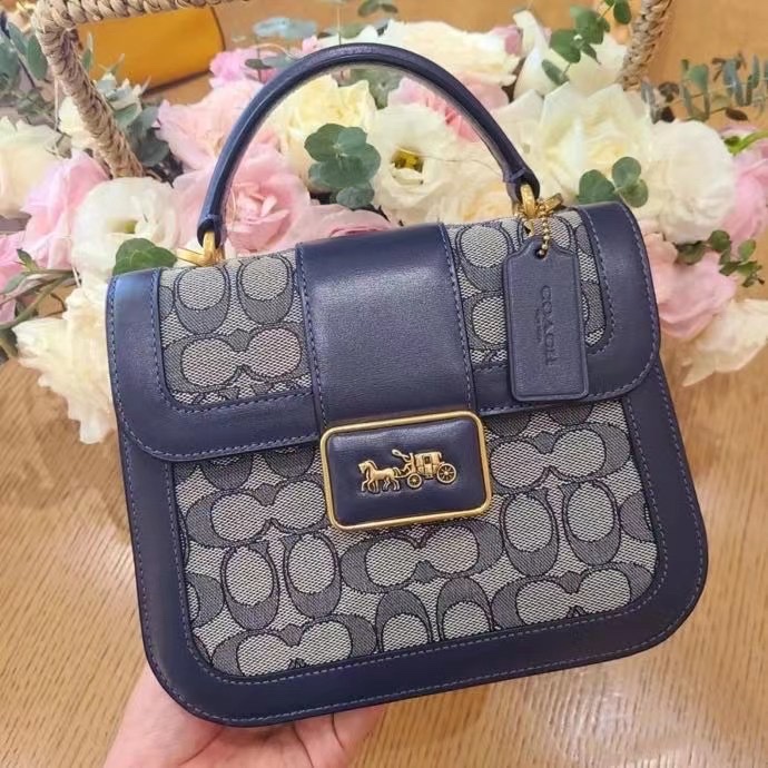 C4820 jacquard 21X17X8cm 5 Colors JH