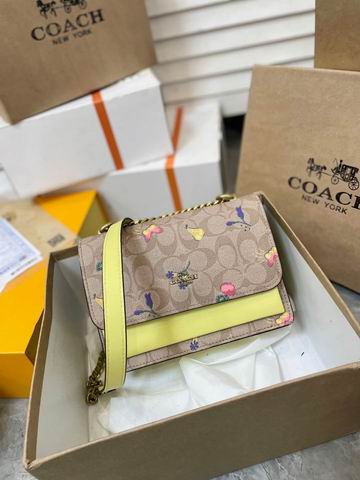 Coach Klare 22x15cm CN