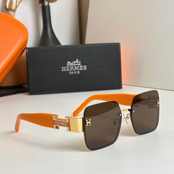 Hermes Glasses