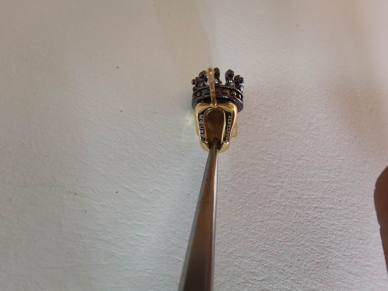 Alexander Wang earrings 11lyr9 (1)