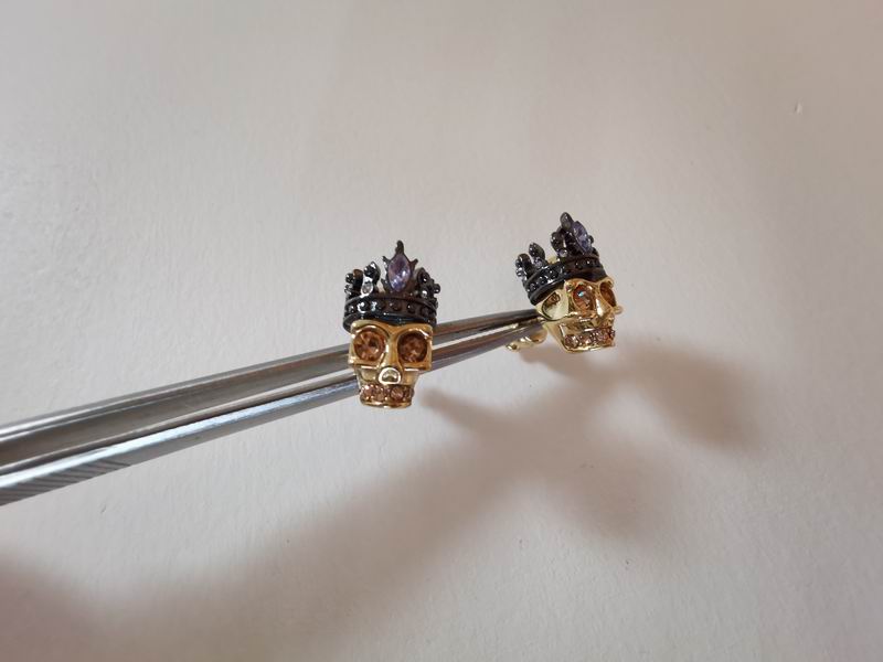 Alexander Wang earrings 11lyr9 (4)