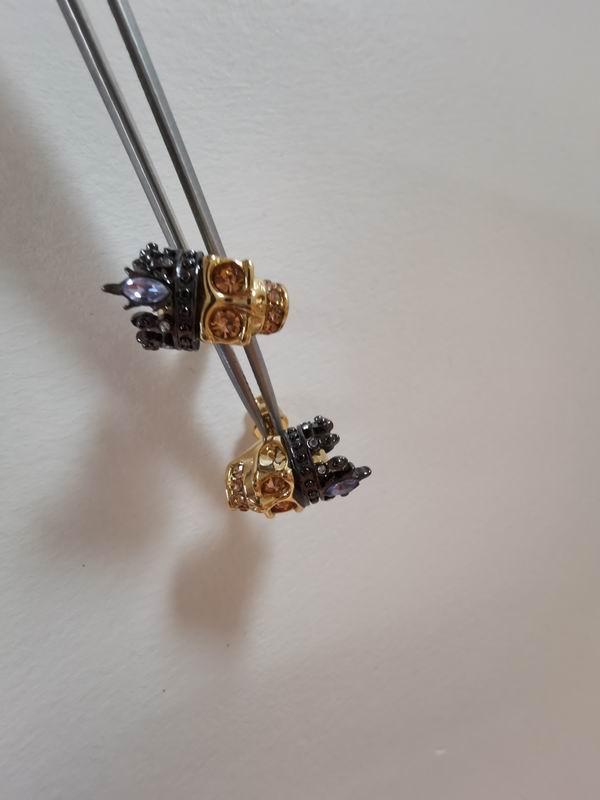 Alexander Wang earrings 11lyr9 (7)