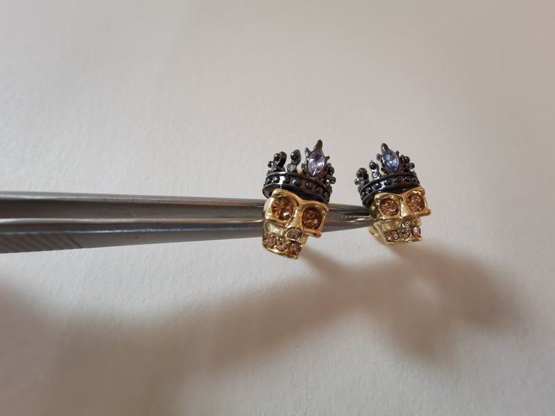 Alexander Wang earrings 11lyr9 (8)