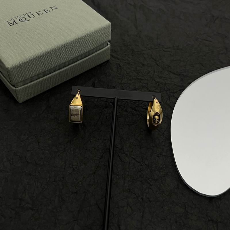 Alexander Wang earrings 1lyr10 (1)