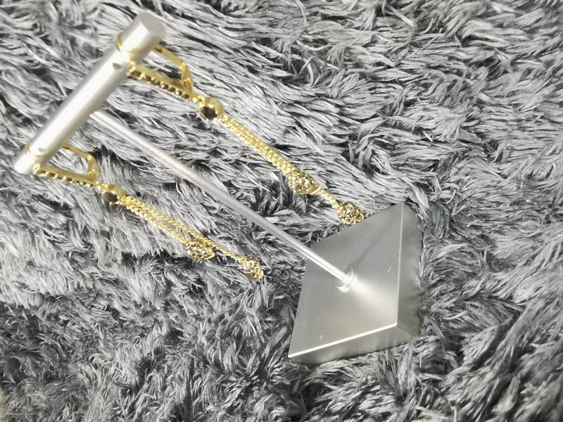 Alexander Wang earrings 9lyr8 (5)