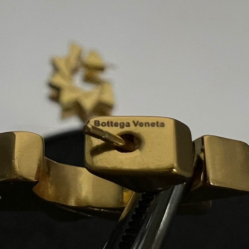 BV Earring 01lyx179 (6)