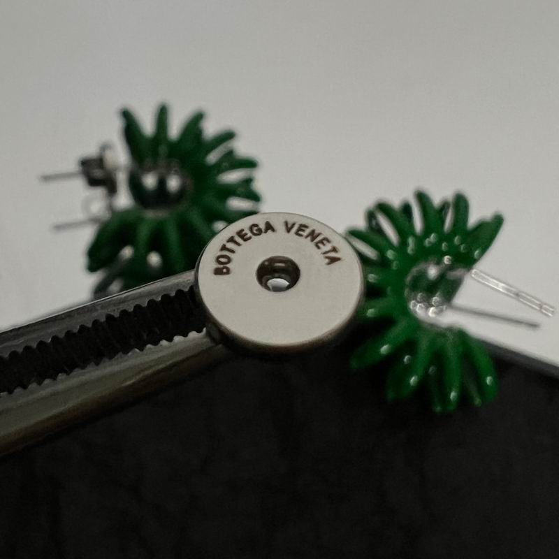 BV Earring 03lyx181 (12)