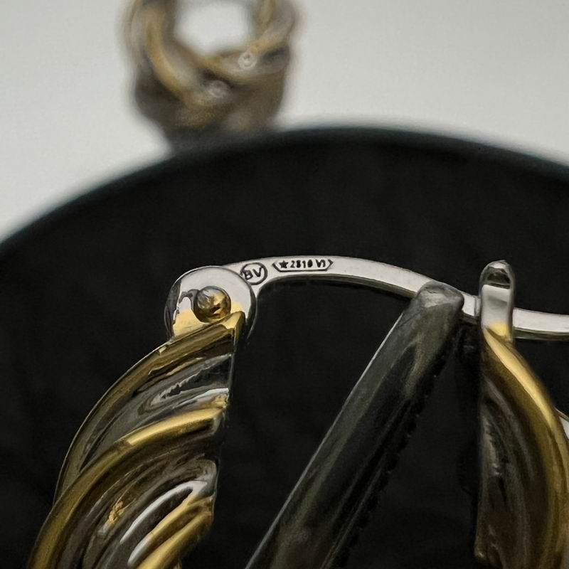 BV Earring 10lyx163 (5)