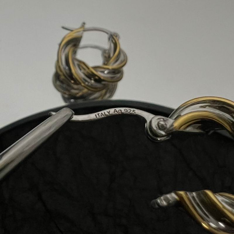 BV Earring 10lyx163 (6)