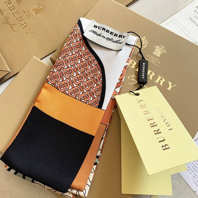 Burberry silk ribbon E23 (3)