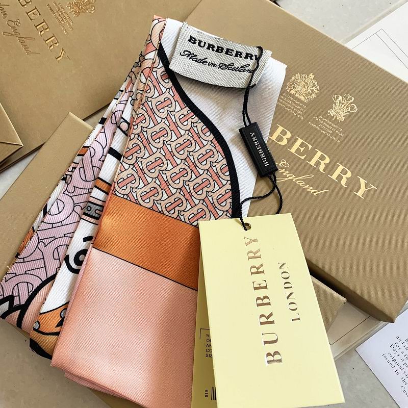 Burberry silk ribbon E23 (4)