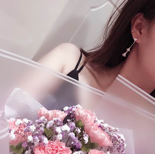 Bvlgari earring lyh06 (9)