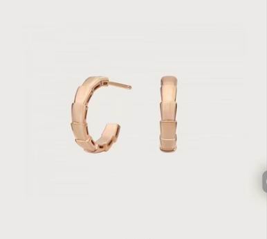 Bvlgari earring lyh09 (9)