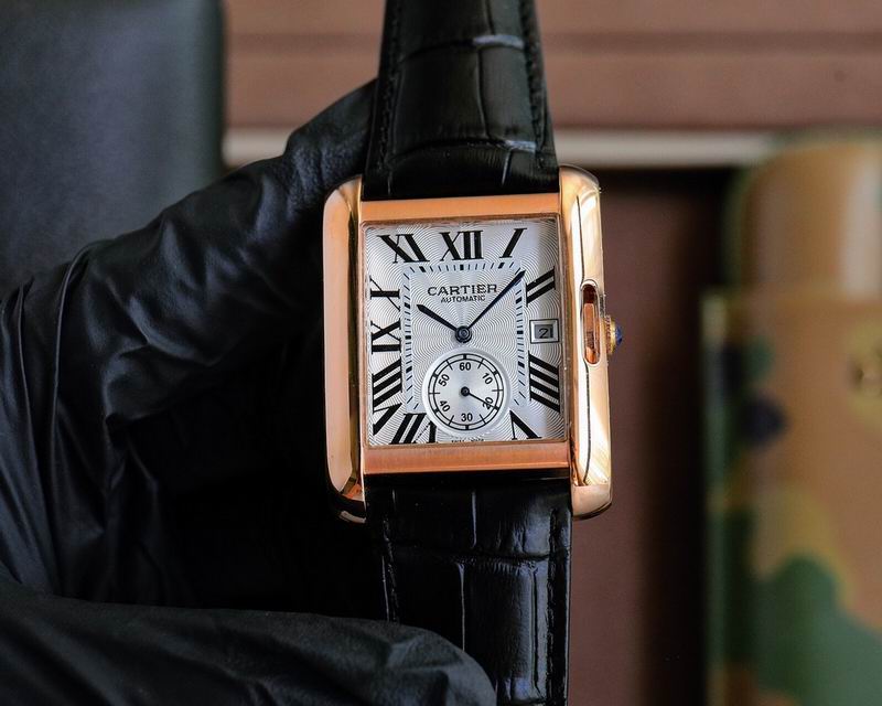 Cartier 36mm 48mm 23 (9)