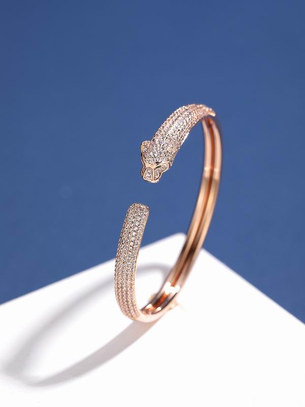 Cartier bracelet 01lyx56 (1)