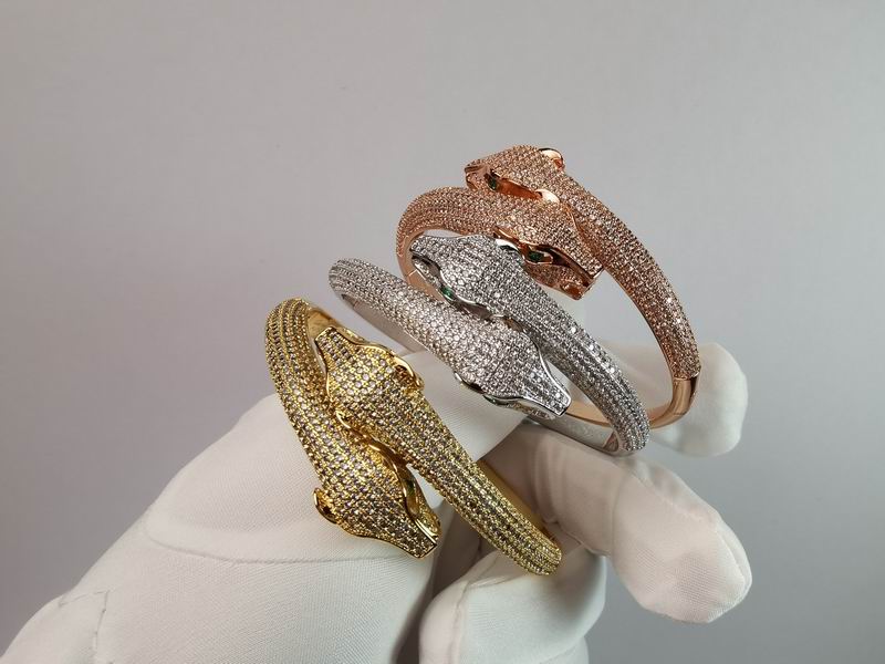 Cartier bracelet 11lyx19 (5)