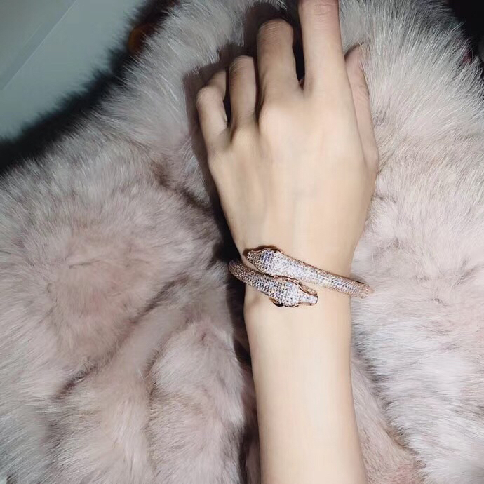 Cartier bracelet 11lyx19 (6)