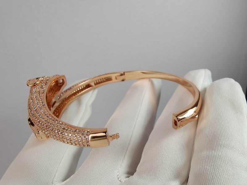 Cartier bracelet 11lyx19 (8)