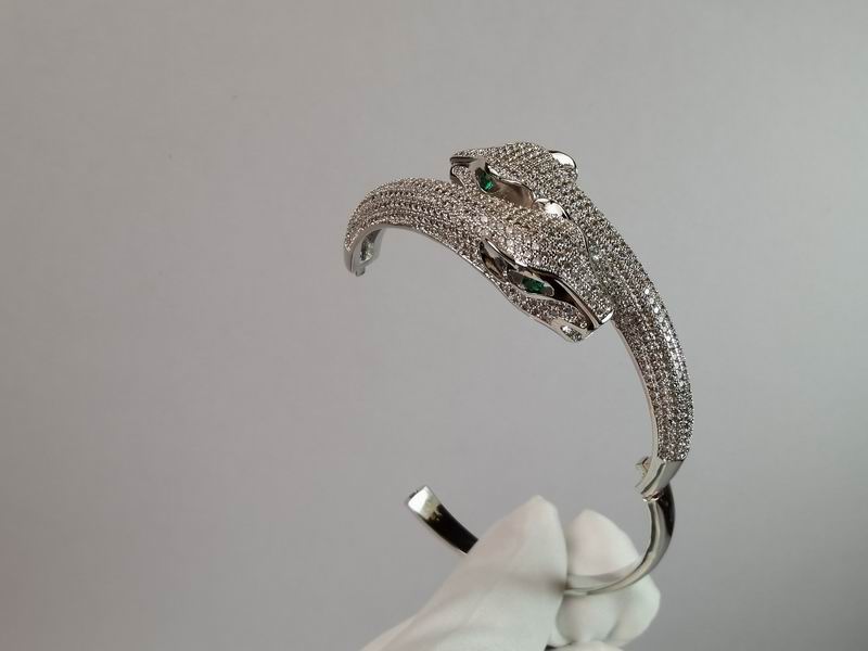 Cartier bracelet 11lyx19 (9)