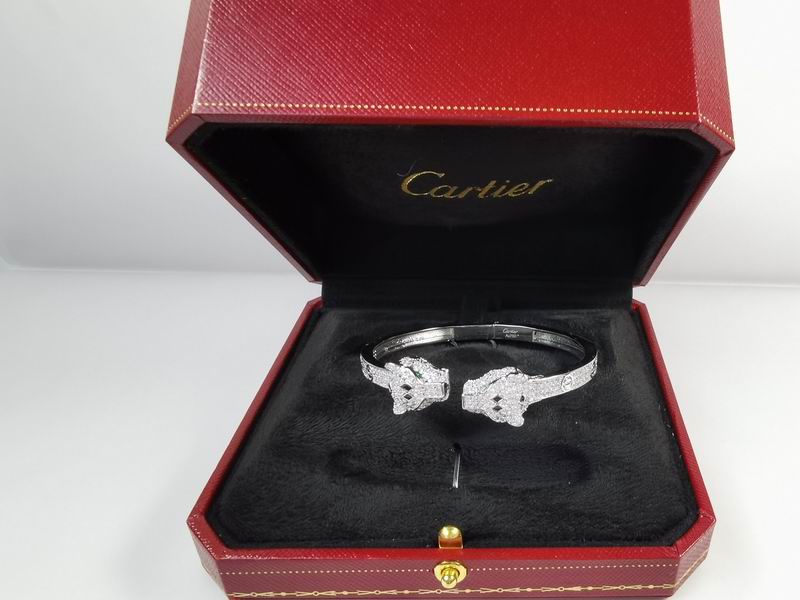 Cartier bracelet 11lyx21 (4)