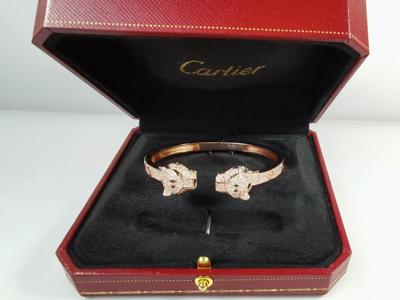 Cartier bracelet 11lyx21 (5)