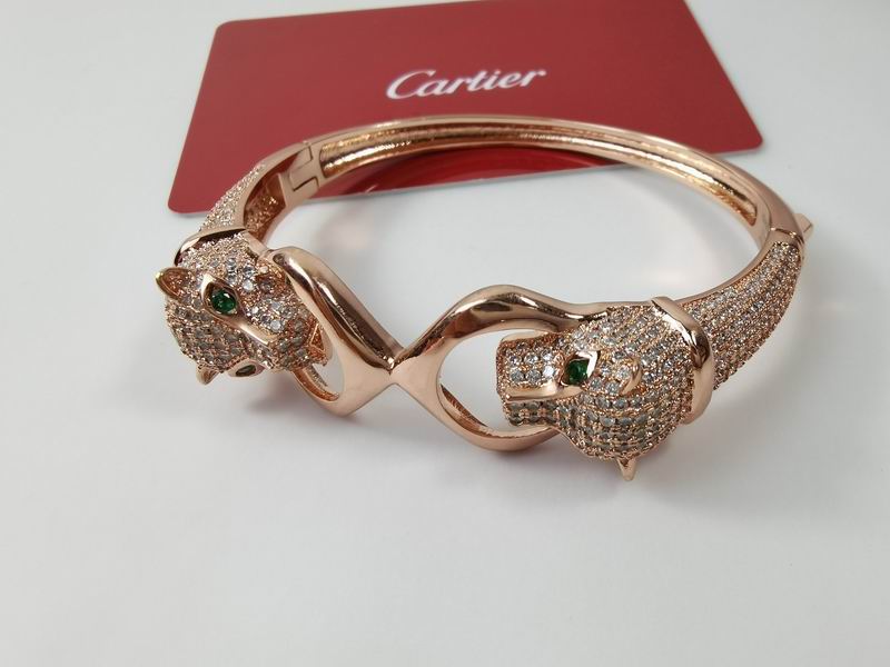 Cartier bracelet 11lyx22 (5)