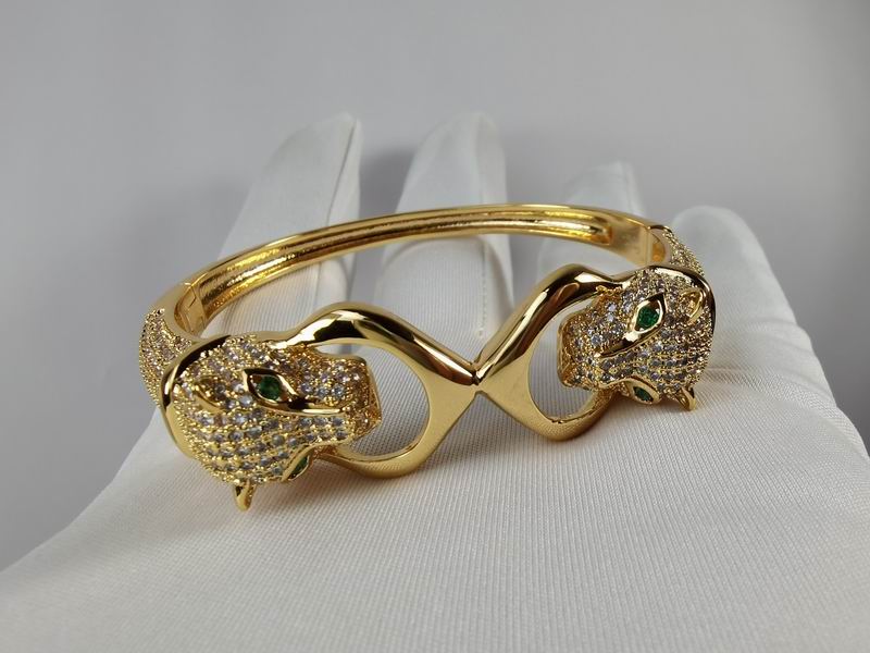 Cartier bracelet 11lyx22 (6)