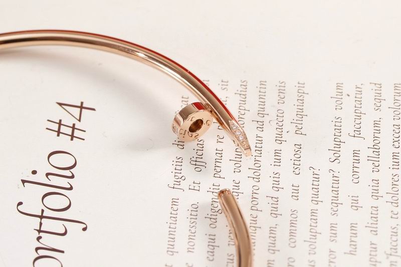 Cartier necklace 12lyx45 (5)