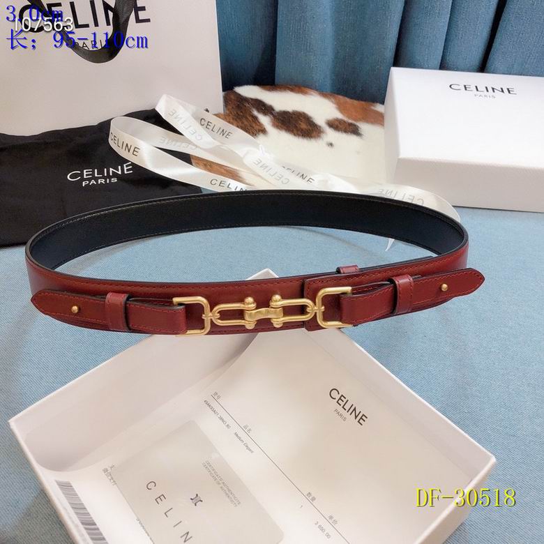 Celine 30mmX95mm-110mm 8L (2)