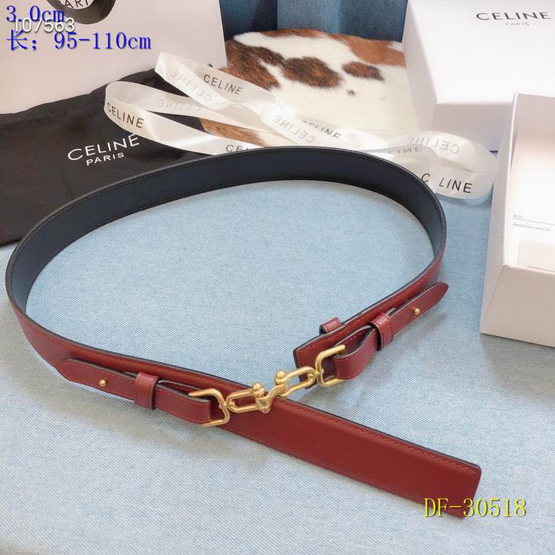 Celine 30mmX95mm-110mm 8L (3)