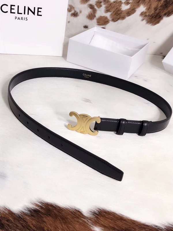 Celine Belt lb (35)