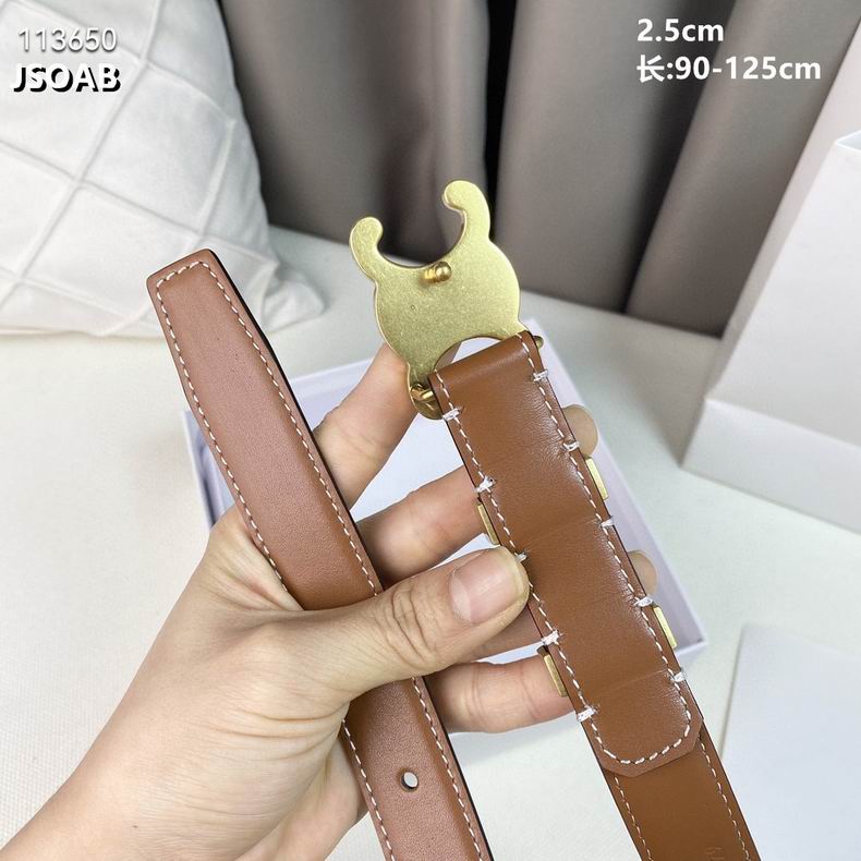 Celine belt 25mmX90-125cm 8L (14)