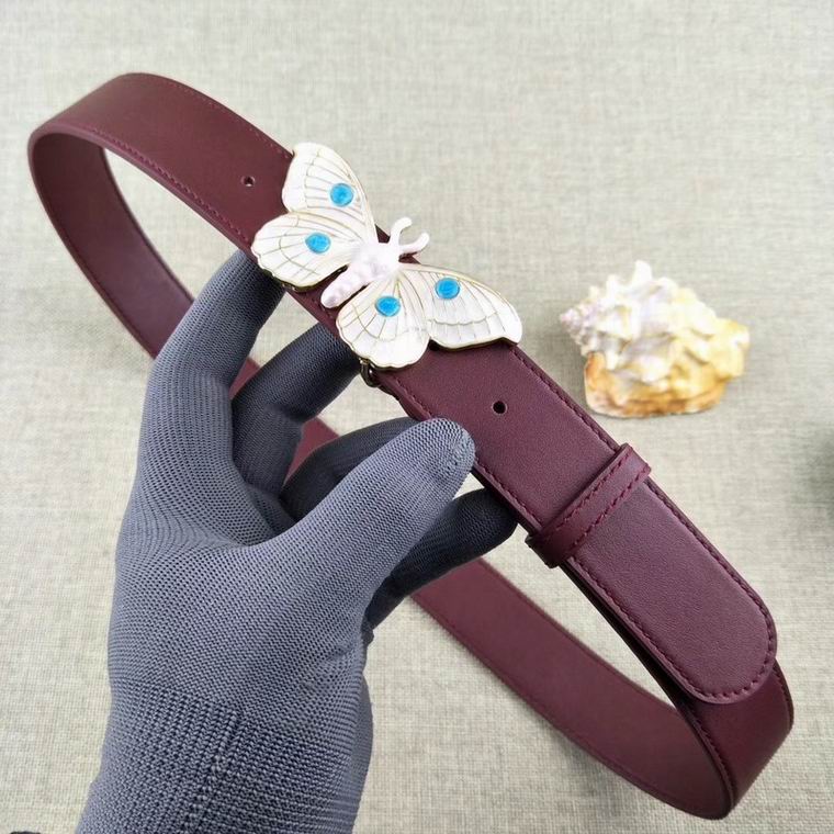 Gucci Belt 34mmX95-115cm 7D (3)