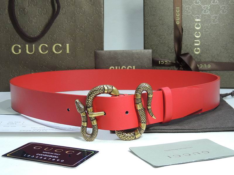 Gucci Belts LB (509)