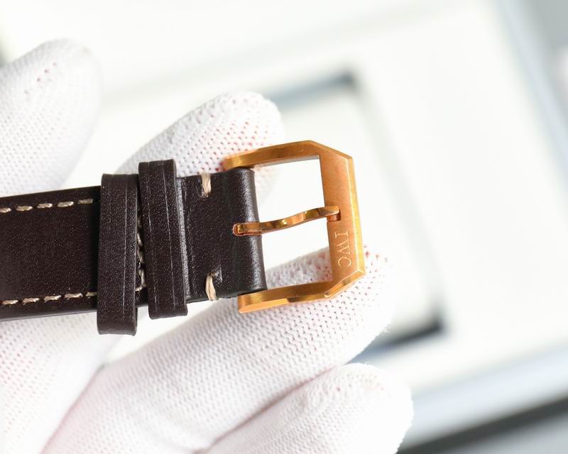 IWC 41X12mm 01 (10)