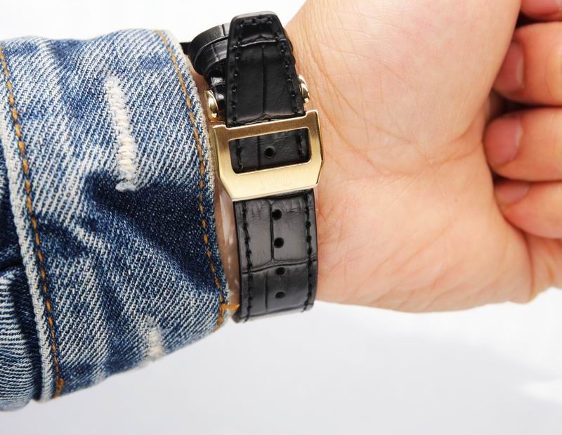 IWC 46X13.5mm 60 (6)