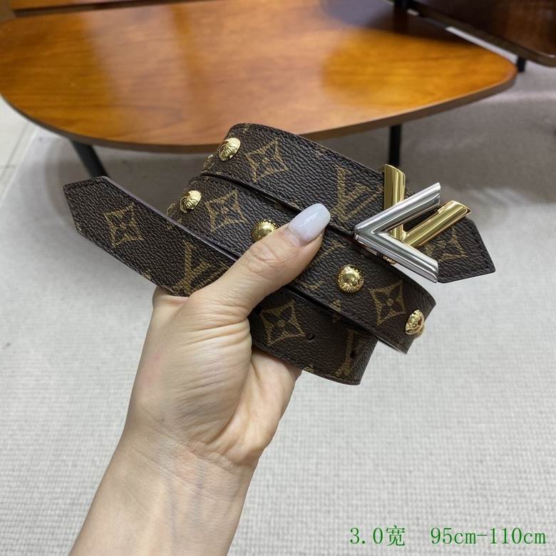 LV 30mmX95-110CM 7D  (119)