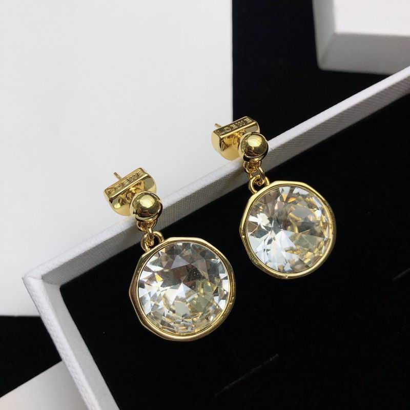 Loewe earring 09lyw7 (7)