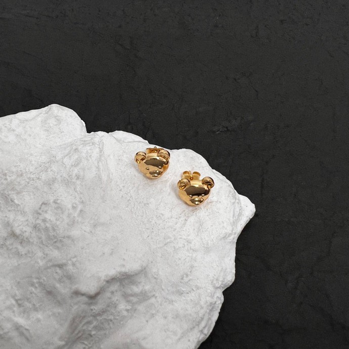 Moschino earring 10lyx2 (18)