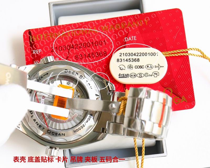 Omega watch 89-Seamater 600m (14)