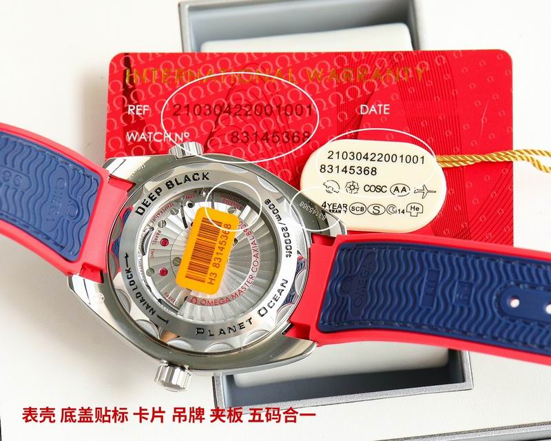 Omega watch 89-Seamater 600m (24)