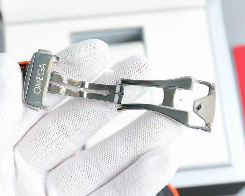 Omega watch 89-Seamater 600m (5)