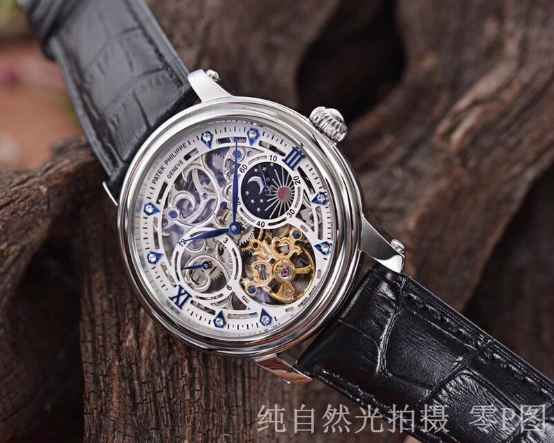 Patek Philippe watch 11 (11)