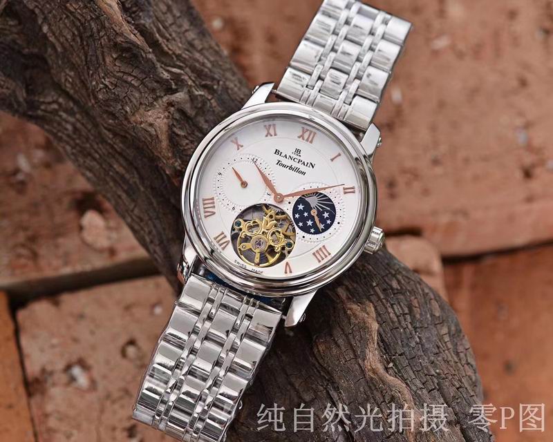 Patek Philippe watch 12 (10)