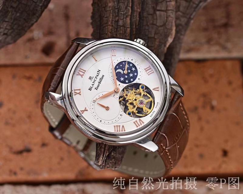 Patek Philippe watch 12 (2)