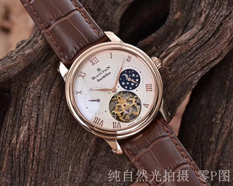 Patek Philippe watch 12 (3)