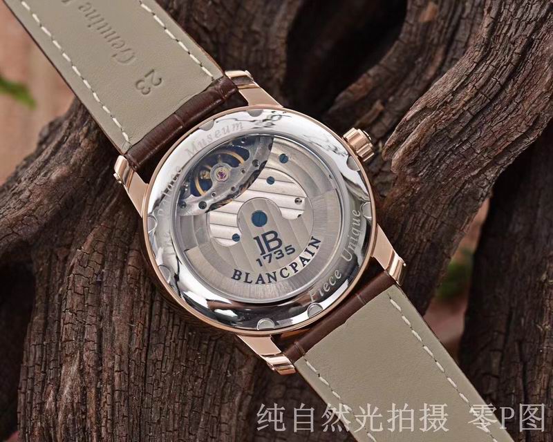 Patek Philippe watch 12 (7)