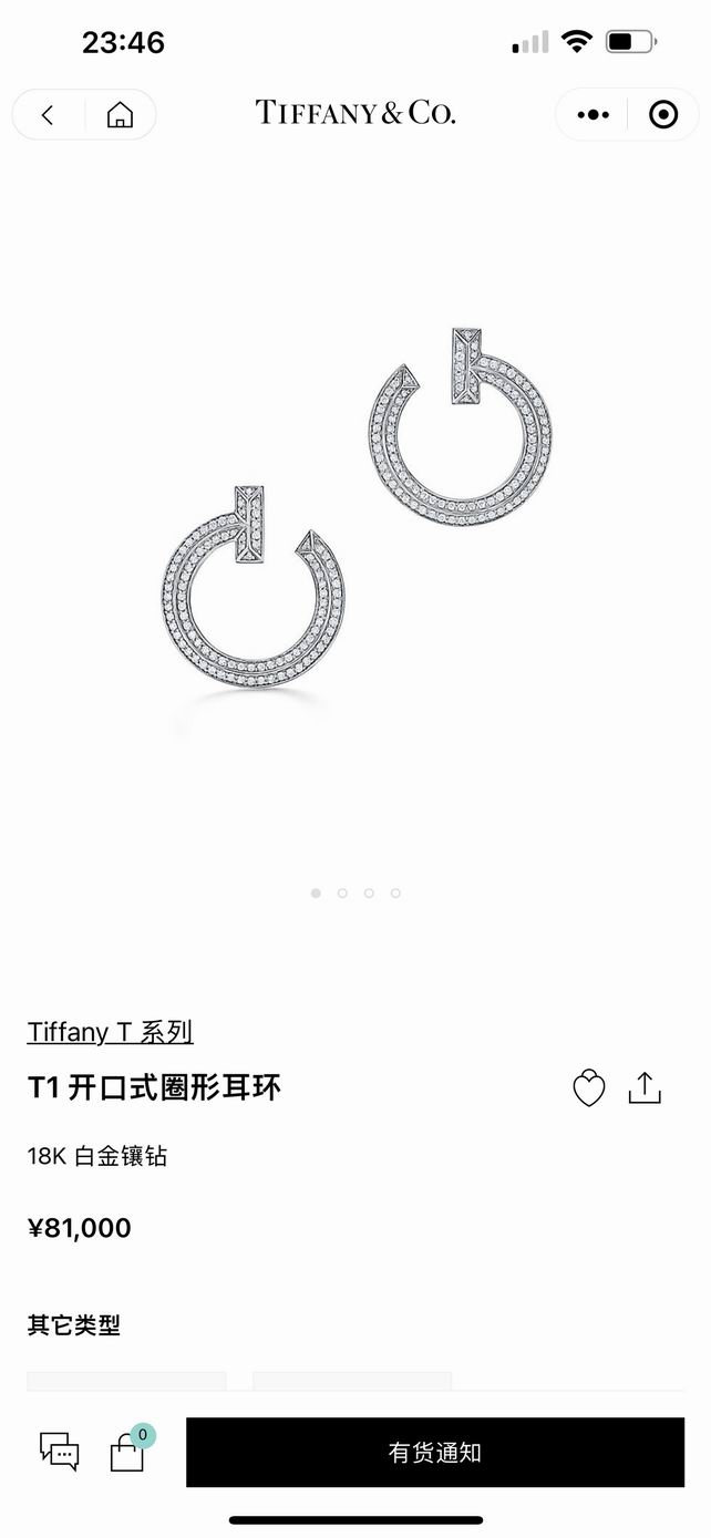 Tiffany earring lyh05 (9)