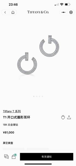 Tiffany earring lyh05 (9)