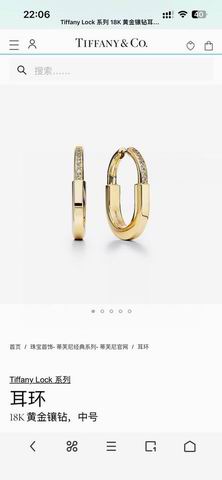 Tiffany earring lyh08 (8)